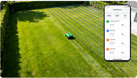 3D Lawn PatternsDiagram